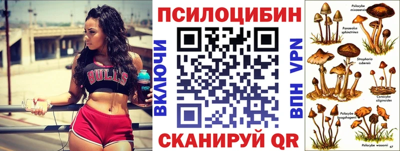 Купить где  Печора  Псилоцибиновые грибы прущие грибы 
